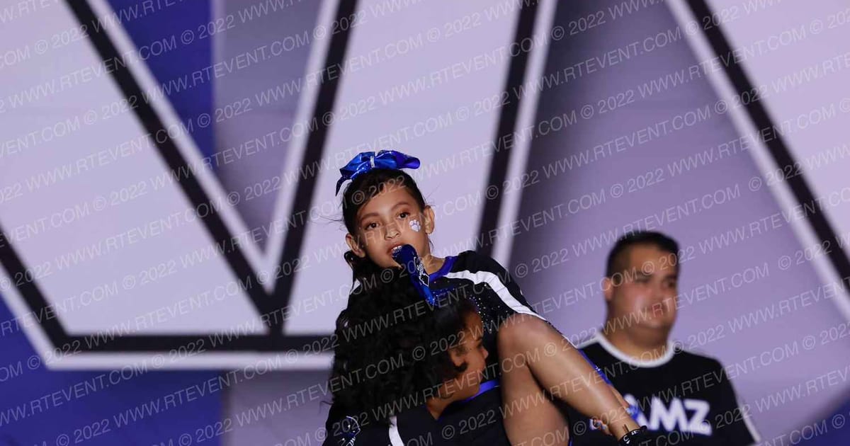 FAITH CHAPEL PAWSITIVE PANTHERS · Bid Challenge