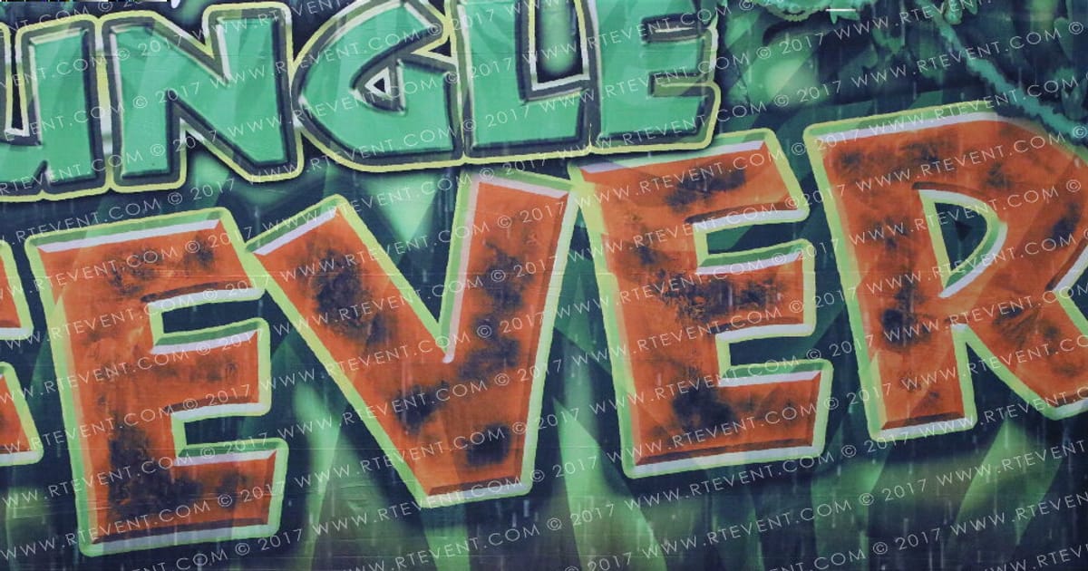 Spotlight Cheer Glimmer · Jungle Fever