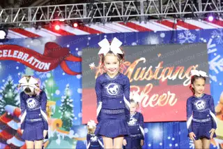 Mustang Cheer All Stars Ponies