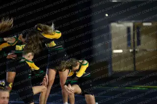 Yulee Swarm