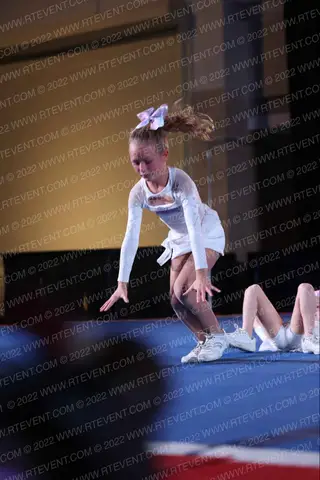 Fantasy Elite Athletics Pink Kitties