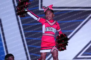 FAIRFIELD FALCON JR PEE WEES