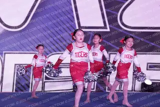 STEINBECK TIGERS JPW