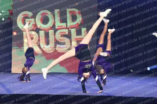 Purple Stars Spirit of Texas