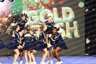 Trailblazers Mustang Cheer