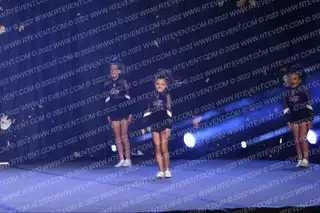 Purple Stars Spirit of Texas