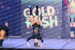 Panthers Cheer & Tumbling AllStars
