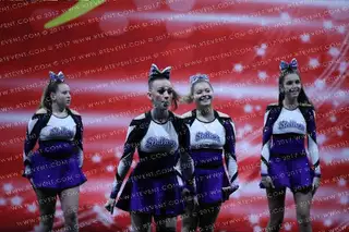 Alex Bay Recreation Cheer Stallions Purple Rein