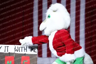 Arlington High School Mascot