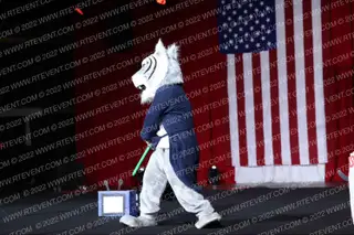 Byron Nelson High School Bobby the Bobcat