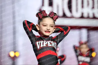Stars Vipers San Antonio Tiny Bites
