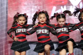 Stars Vipers San Antonio Fab Fangs