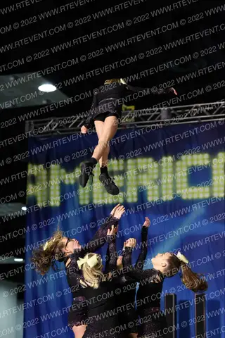 H&F Allstars Queen Bee'z