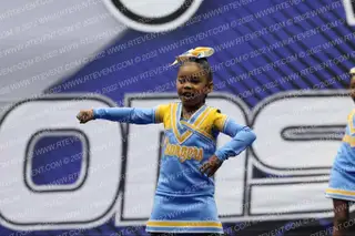 INGLEWOOD CHARGERS