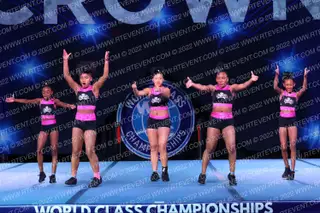 Exclusive Elite All-Stars EEA Electric Amethyst