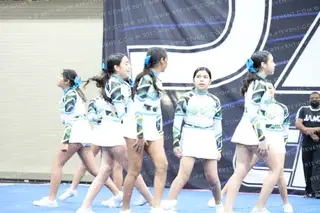 MAYANS PLATINUM