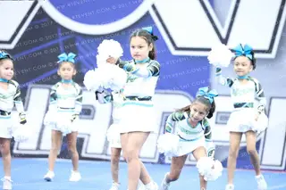 MAYANS MINIS