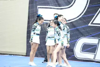 MAYANS EMERALD DIVAS