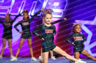 USA Allstars Minions