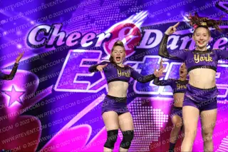 York Elite C4