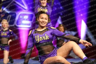 York Elite Platinum