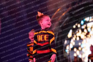 Ace of Huntsville LITTLE BIRDS