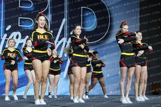 ACE of Auburn Amazons