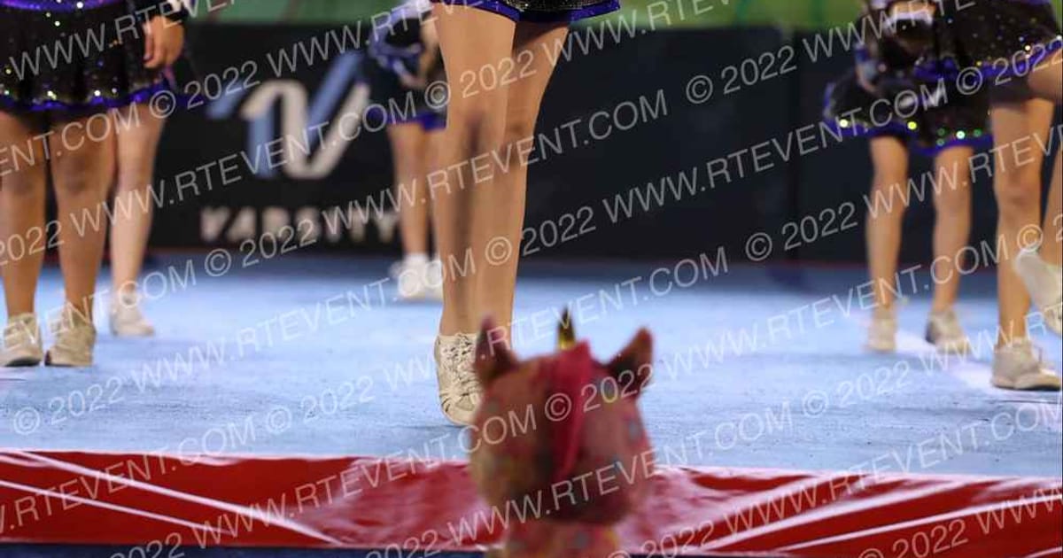 Double Down Athletics Twinkles · The STATE Daytona Beach Nationals