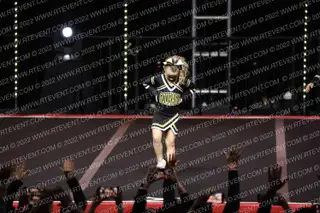 TIERRASANTA COUGARS FLAG