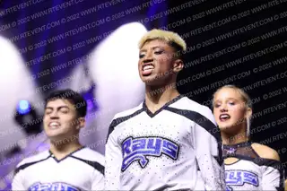 Stingrays - Steel
