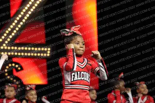 FAIRFIELD FALCON JR PEE WEES