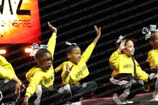 THE DREAM TEAM MINIS