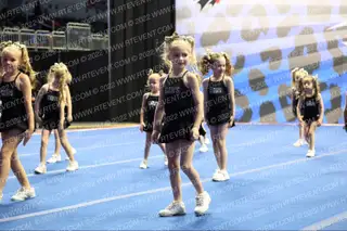 Winfield Cavaliers Tiny X