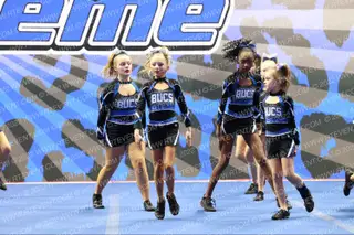 Bucs Cobalt