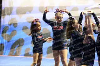 USA Allstars Minions