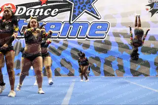 Dynasty Spirit Elite MD Code Black