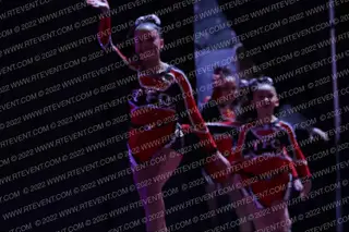 Take Flight Cheer Snowflakes