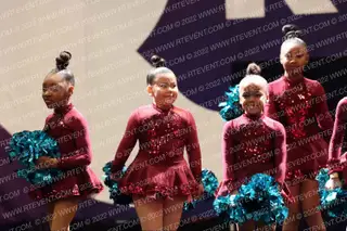 Studio 121 Mini Crew Variety