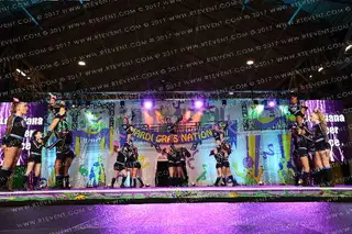 Louisiana Cheer Force Rose