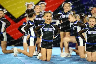 Florida Top Dog- Lakewood Ranch Mini Gold
