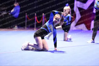The Stingray Allstars Virginia Twinkle