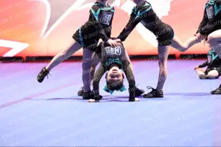 Cheer Extreme SOMD Tiny Seals
