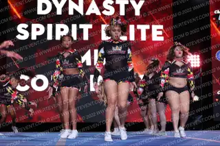 Dynasty Spirit Elite MD Code Black
