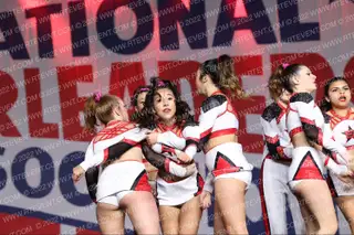 Under Eminence Athletics Wild
