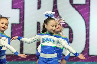 The Stingray All Stars Daisy