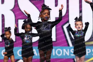 Python All Stars Rock Pythons