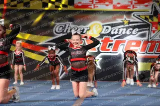 Phoenix Elite Heat