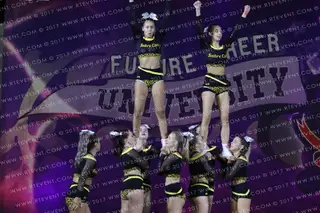 Sheffield Sabrecats Stunt Silver