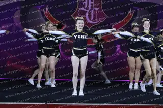 York Hornets Gold