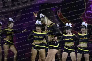 Sheffield Sabrecats Stunt Black